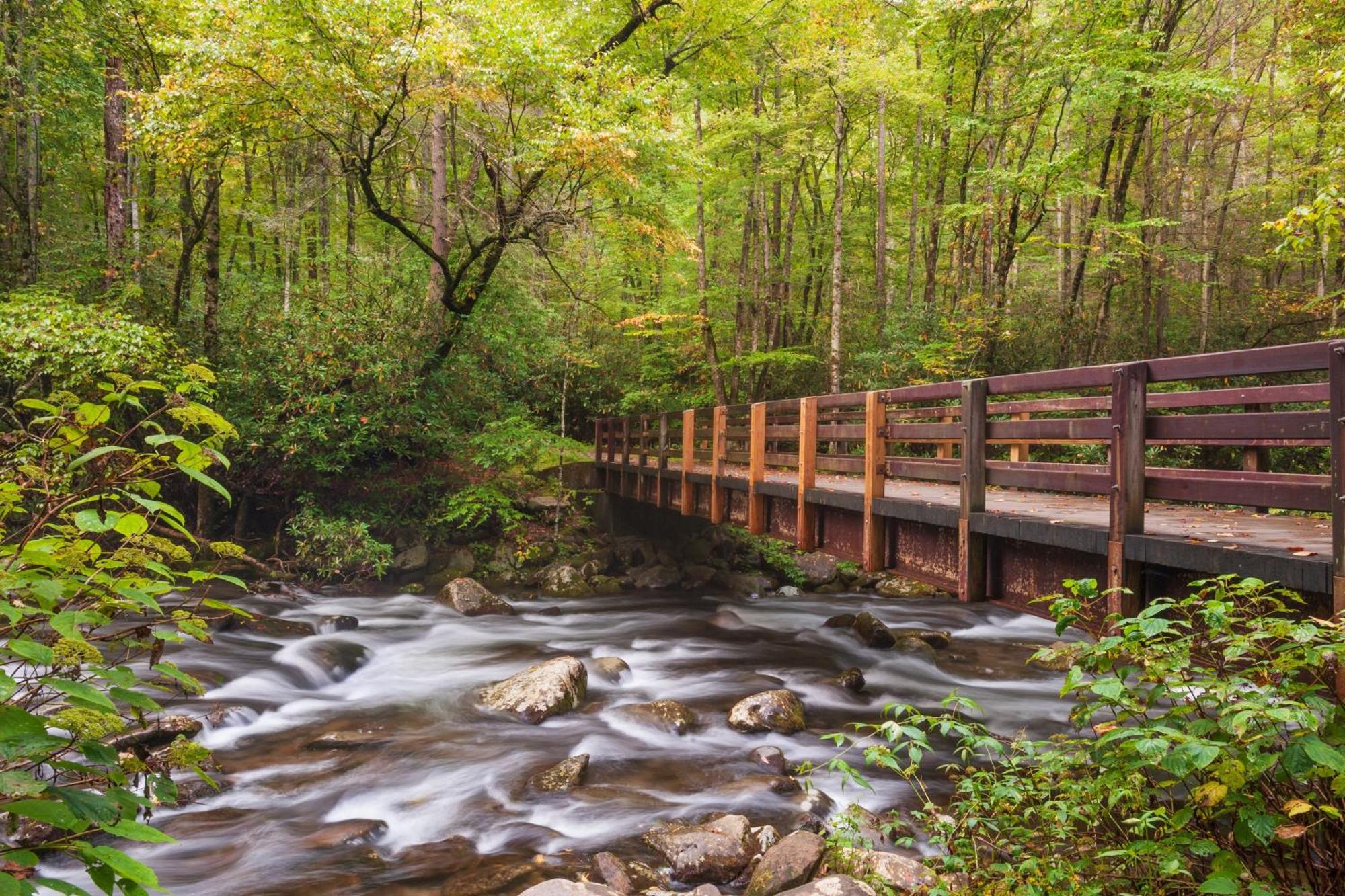 Vila Smoky Mountain Gem Gatlinburg Exteriér fotografie